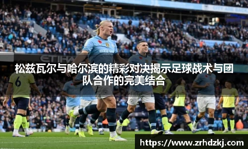 333体育平台